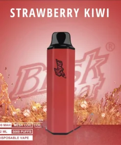 BRISK BAR STRAWBERRY KIWI – 5000 PUFFS