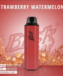 BRISK BAR STRAWBERRY WATERMELON – 5000 PUFFS