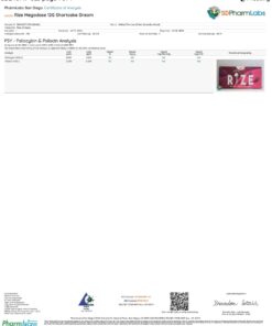 Alternative view of Rize – Shortcake Dream Megadose Mushroom Chocolate Bar 12G