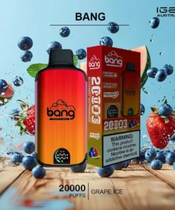 BANG – BLUEBERRY WATERMELON – 20000 PUFFS