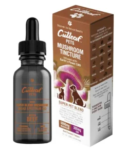 Beef Cutleaf Pet Mushroom CBD Tinctures