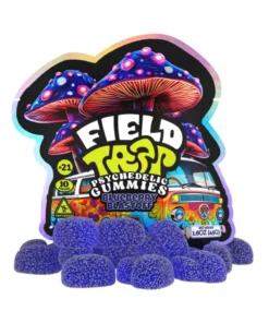 Blueberry Blastoff Field Trip Psychedelic Mushroom Gummies