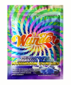 Blueberry & Cream Wunder Neurovatic Balance Blend Mushroom Gummies 2ct