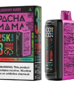 Blueberry Burst Disposable Vape (25000 Puffs) by Pachamama 25K