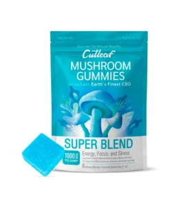 Super Blend Mixed Berries Cutleaf Mushroom CBD Gummies 1000mg