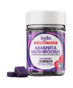 Mix Berry Feela 1:2:1 Ratio Amanita Mushroom Gummies 3500mg