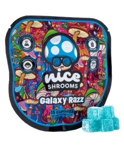 Galaxy Razz Nice Shrooms Mushroom Gummies 15ct 75g