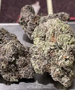 BLUE GUMBO 3.5 GRAMS HYBRID 34% THC EXOTICS
