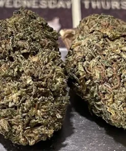 SOUR CANDY (14G) HALF OF SATIVA - 15% THC