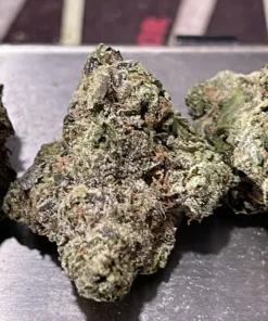 TANGILOPE 28 Grams EXOTICS OZ - 37% THC SATIVA