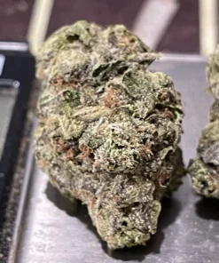TANGILOPE 28 Grams EXOTICS OZ - 37% THC SATIVA