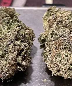 DONNIE BURGER 28 Grams OZ - 25% THC INDICA