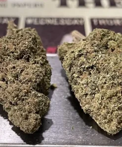 RASPBERRY LEMONADE 28 Grams OZ - 25% THC SATIVA