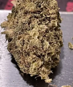 LEMON CAKE 7 GRAMS QUARTER SATIVA