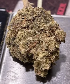 LEMON CAKE 7 GRAMS QUARTER SATIVA