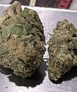 NORTHERN LIGHTS (7G) QUARTER - 23% INDICA