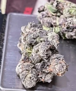 BUTTERSCOTCH GELATO 3.5G 36% THC - EXOTIC HYBRID