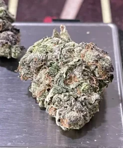 BUTTERSCOTCH GELATO 3.5G 36% THC - EXOTIC HYBRID