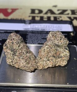 MANHATTAN GUM 3.5G (GOONIES TEDS) INDICA EXOTIC