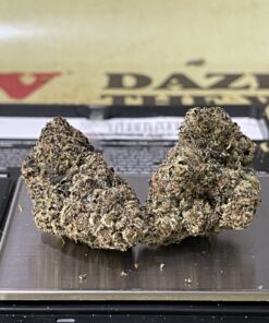 MANHATTAN GUM 3.5G (GOONIES TEDS) INDICA EXOTIC