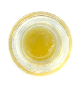 ALLIEN LABS 1G LIVE BUDDER