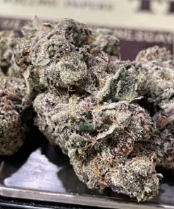 JET LAG 28 Grams INDICA 36% THC ON SALE EXOTICS