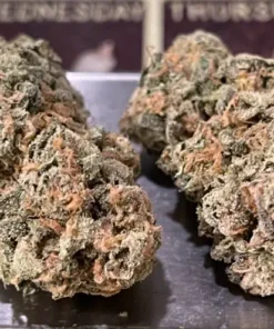 PLATINUM BLUE DREAM 3.5G SATIVA 38% THC