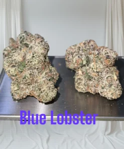 BLUE LOBSTER 3.5g EXOTICS