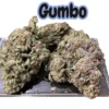GUMBO 28 Grams OZ ON SALE - 29% THC INDICA