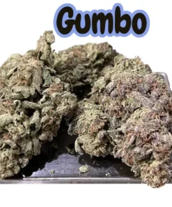 GUMBO 28 Grams OZ ON SALE - 29% THC INDICA