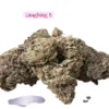LAUGHING BUDDHA 28 GRAMS OZ - 29% THC SATIVA