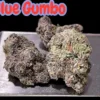 BLUE GUMBO 3.5 GRAMS HYBRID 34% THC EXOTICS