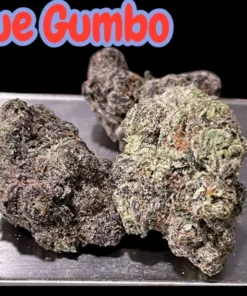 BLUE GUMBO 3.5 GRAMS HYBRID 34% THC EXOTICS