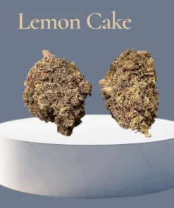 LEMON CAKE 7 GRAMS QUARTER SATIVA