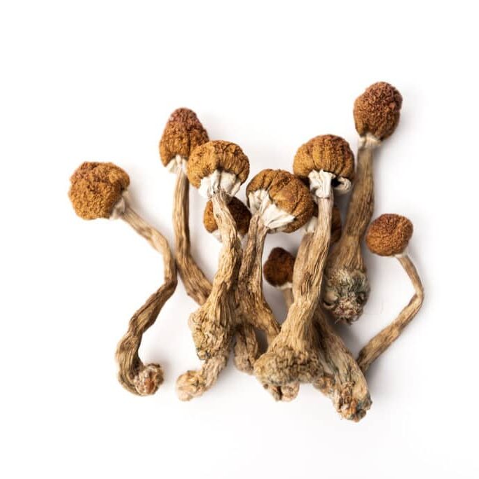 shrooms