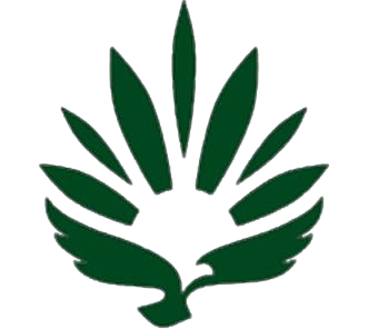 Rise Cannabis Store