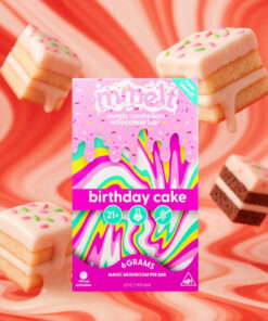 Mmelt Birthday Cake Mushroom Chocolate – 6G